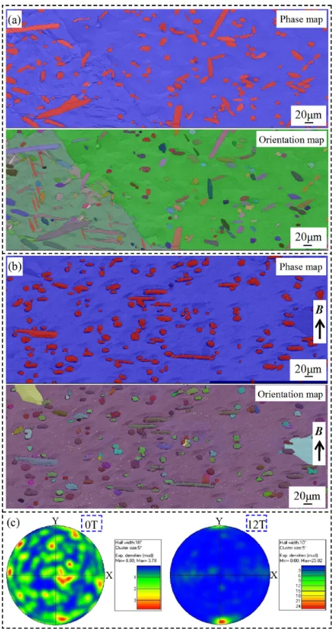 Fig. 2Transverse microstructures of the Sn­1.5 wt% Mn specimens withthe application of (a) 0 T, (b) 1 T, (c) 3 T, (d) 5 T, (e) 8.8 T and (f ) 12 THMFs, respectively.