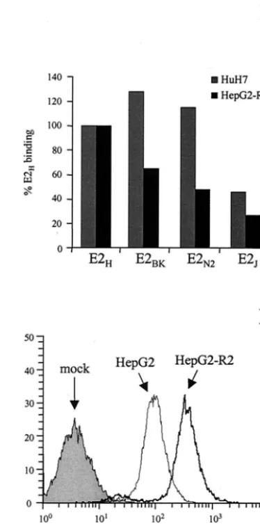 FIG. 7. Human hepatic cells recognize E2 variants from differentviral isolates with comparable efﬁciency