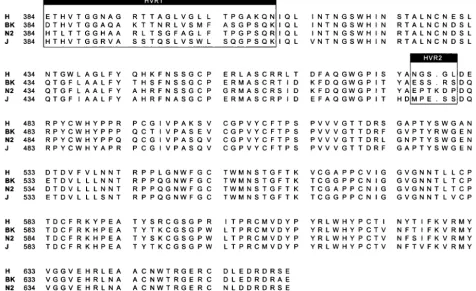 FIG. 1. Sequence alignment of the H, BK, N2, and J strain E2 ectodomain sequences used in the binding assays