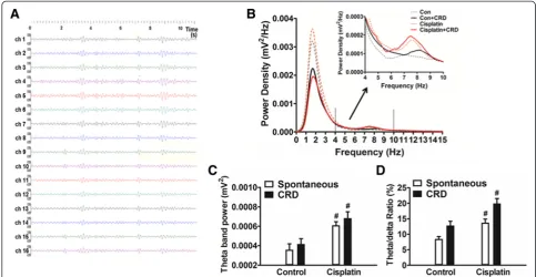 Fig. 5 Enhanced the power of ACC theta-band oscillation (4increases in theta-band oscillation (4–10 Hz) in cisplatin-treated rats