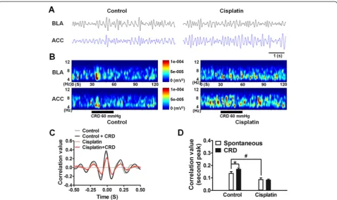 Fig. 7 Desynchronized theta activities between the BLA and ACC in cisplatin rats.ACC (bottom) LFP a Representative traces of spontaneous theta band fieldpotential in the BLA (black line) and ACC (blue line) in control (left) and cisplatin (right) rats