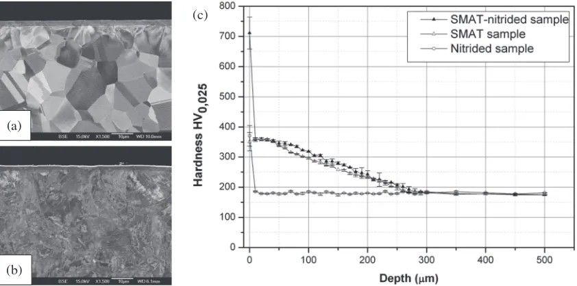 Fig. 6BSE contrast SEM observations of the 316L cross-sections processed by (a) nitriding and (b) SMAT + nitriding