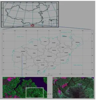 Figure 1. The experimental area. 