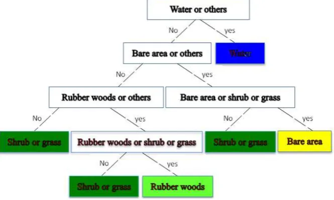Figure 5. Classifying decision tree model of rubber woods. 