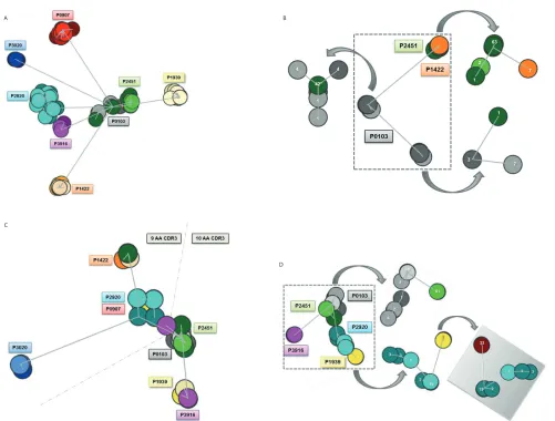 Figure 1. Composite clusters of subset #4 IG sequences at the amino acid level. Figure 1A illustrates cluster formation following analysis ofonly a single subcloned sequence at the second time point (1/33 subcloned sequences; 3%) and were undetectable at t