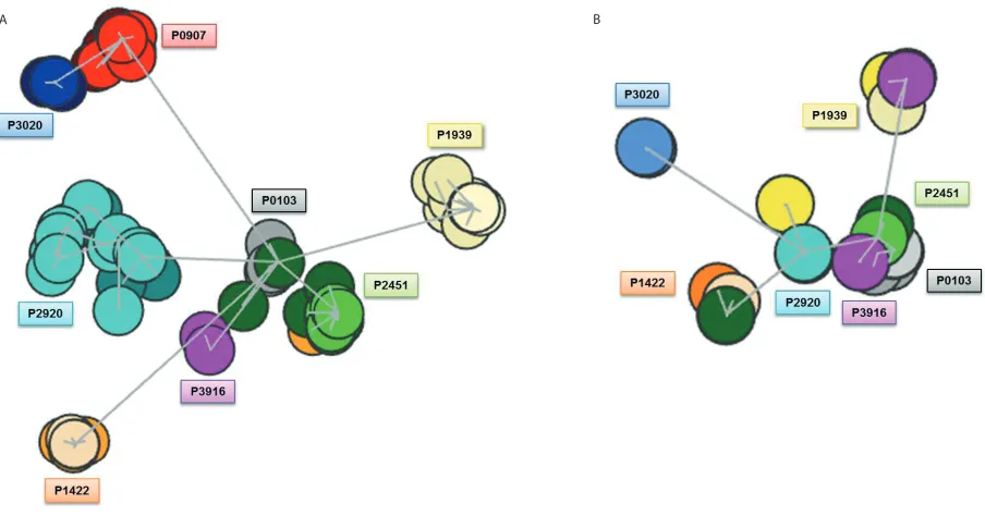 Figure 2. Cluster formation when considering amino acids within the same physicochemical groups as equals