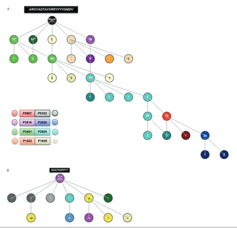 Figure 4. Molecular phylogeny of the VH and VK CDR3 sequences of subset #4. Figure 4A illustrates how hierarchical visualization of theVH CDR3 amino acid sequence from all patients facilitated the construction of a VH CDR3 sequence that can now be consider