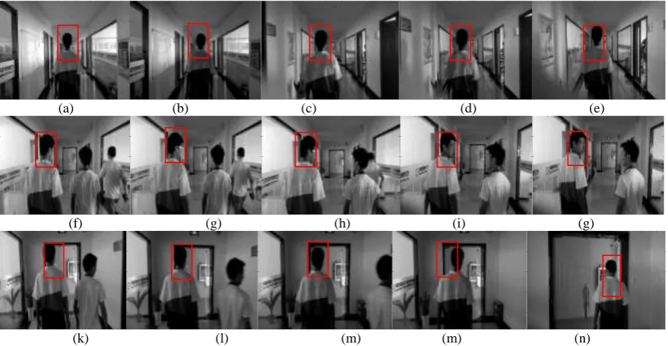 Figure 3. Illustration of results of the tracking algorithm how to handle the environmental changes and distractor