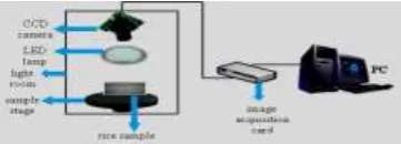 Figure 1. The schematic diagram of the machine vision hardware system. 
