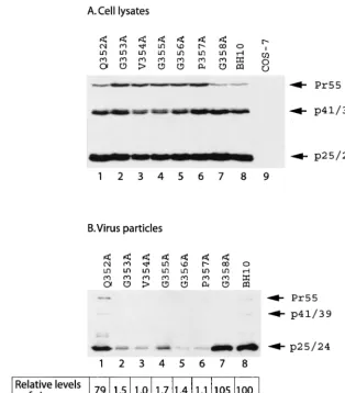 FIG. 2. Virus particle production by mutant and wild-type HIV-1 DNA constructs. COS-7 cells that were transfected with various viral DNAconstructs were harvested and then lysed in NP-40 lysis buffer
