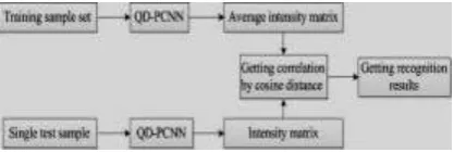 Figure 3. The intensity image of the human face image. 