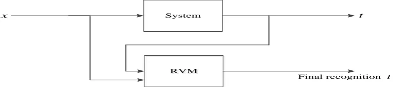 Figure 1. RVM model for common pattern recognition. 