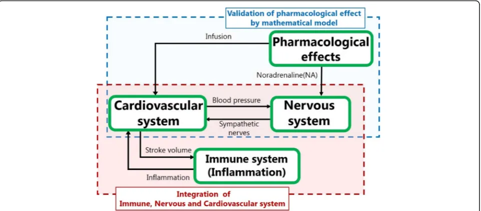 Fig. 1 Overview of the sepsis model