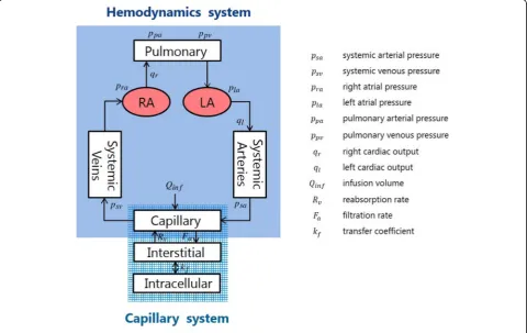 Fig. 2 Cardiovascular system model