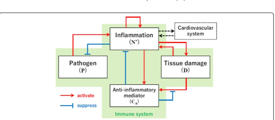 Fig. 3 Overview of the immune system model [16]