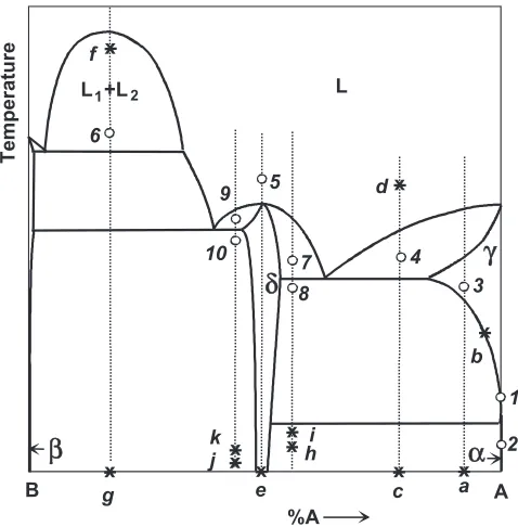 Fig. 10(a) Liquidus projection obtained by the CALPHAD method of the Y­Ni­Nb ternary phase diagram at Ref