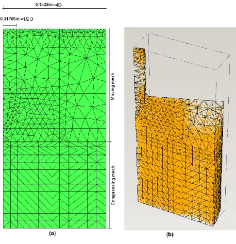 Figure 2 Computational mesh (a) and initial particle discretization (b) 