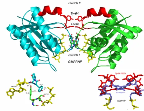 Figure 4. Crystal packing in P3(2)21 along a 2-fold symmetry axis between SwitchI and 