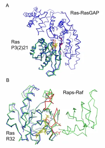 Figure 5. A. The Ras-RasGAP complex (1WQ1), in blue, is superimposed with a structure of 
