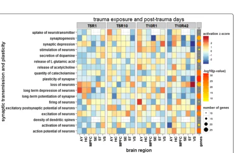 Figure 6 Behavioral response and neurological disorders associated with DEGs of brain regions at four different time points.