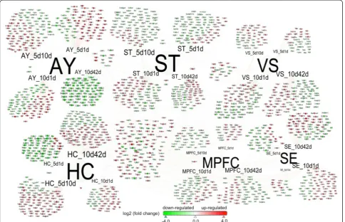 Figure 8 Transcripts – brain-regions interactome for transcripts that passed p-value less than 0.01 and fold change greater than 2.0 inAgg-E groups compared to control groups (across time points).