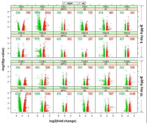 Figure 1 Differentially expressed genes (DEGs) across brain regions at different time points (T5R1, T5R10, T10R1 and T10R42)