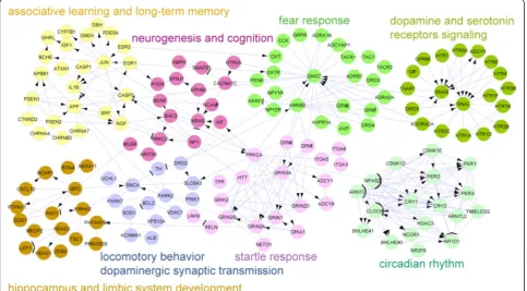 Figure 2 Modular networks of DEGs associated with circadian clock, behavioral response and synaptic transmission; each module(nodes of the same color) forms a functional module.
