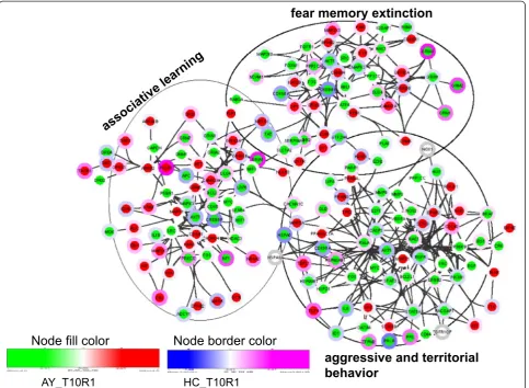 Figure 3 Networks of DEGs involved in associative learning, fear memory extinction, and aggressive and territorial behaviors.Nodes are colored using AY_T10R1 and HC_T10R1.
