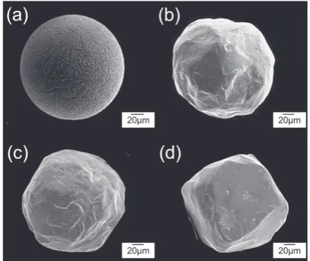 Table 2Sintering conditions and average grain size of homogeneouscompacts.