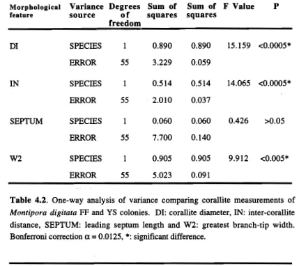 Table 4.2. One-way analysis of variance comparing corallite measurements of FF and YS colonies