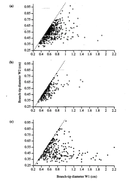 Figure 4.3. Scattter plots showing the relationship between greatest branch-tip diameter (W1), and diameter at 90° to the greatest branch-tip diameter (W2), for FF (•) and YS (o) colonies of Montipora digitata at Geoffrey Bay (a), Pioneer Bay (b), and Nell