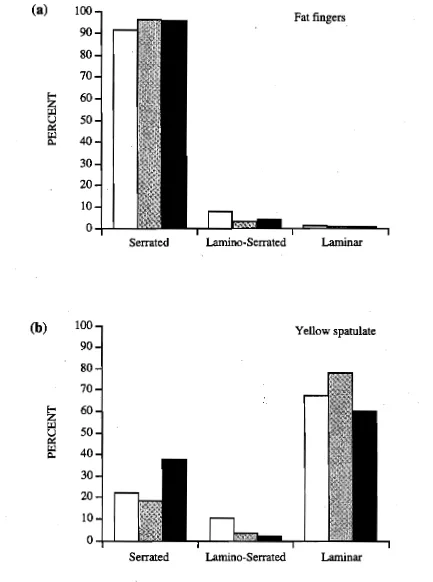 Figure 4.6. Percentage of serrated, lamino4errated and laminar septae in from Geoffrey Bay (0), 
