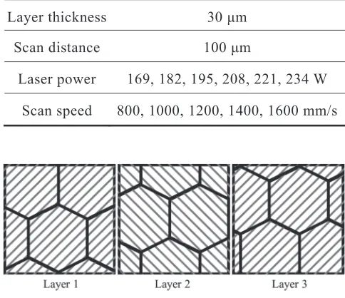 Fig. 5Schematic diagram of laser scanning path.