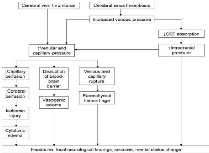 Figure 6: Pathogenesis of CVT
