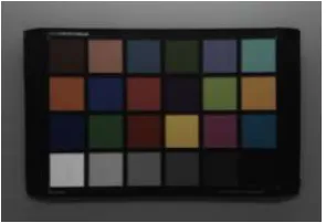 Figure 9. The image before the color correction. 