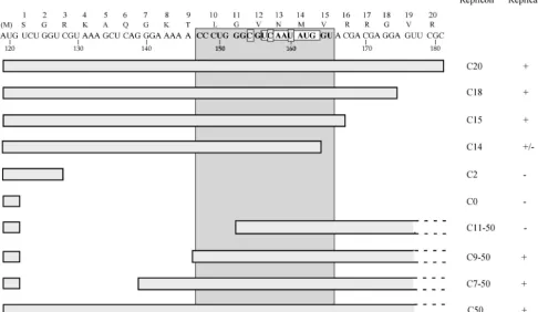 FIG. 3. Schematic representation of deletion constructs tested for RNA replication. The sequence encoding the ﬁrst 21 amino acids of thecapsid protein is shown together with the encoded amino acid sequence