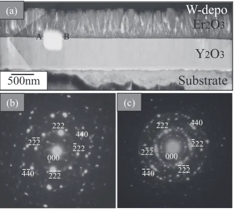 Figure 6 shows STEM images obtained for the same sam-