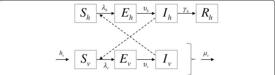 Fig. 1 Schematic of the ZIKV transmission model. The solid arrows represent transitions between epidemiological classes, whereas the dasharrows represent interactions between humans and mosquitoes