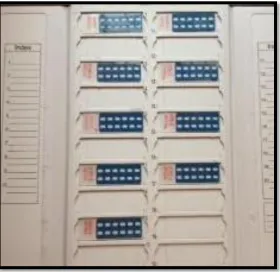 Fig 4.2 Single IFA slide with 12 wells each well containing 4 acetone fixed strains 