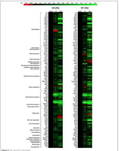 Figure 3 (See legend on next page.)