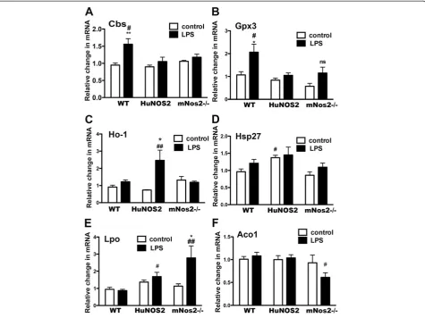 Figure 4 Comparison of gene expression for selected genes. Genes that showed changes in expression levels between WT and HuNOS2tg/mNos2−/− mice were also examined for expression levels in mNos2−/− mice
