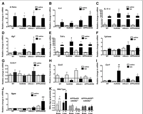 Figure 5 Changes in immune gene expression levels in LPS-simulated HuNOS2tg/mNos2−/−; APPSwDI+/−/Hu NOS2tg+/+/mNos2−/−; mNos2−/−,and WT mice