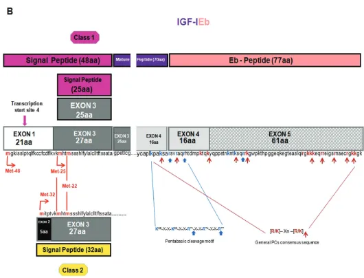 Figure 1. Continued.