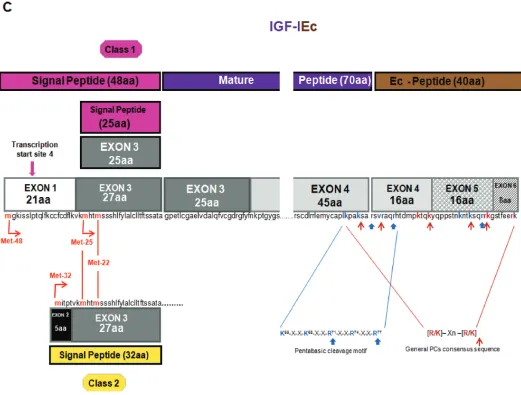 Figure 1. Continued.