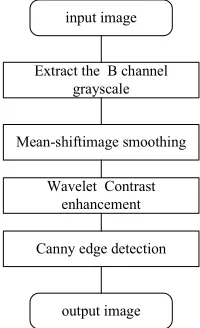 Figure 1. Leaf image segmentation. 