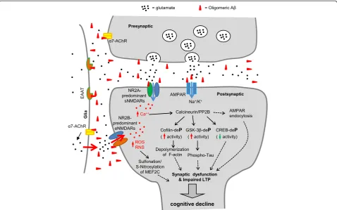 Figure 1 Schematic diagram outlining mechanisms of oligomeric Aβ-induced synaptic dysfunction