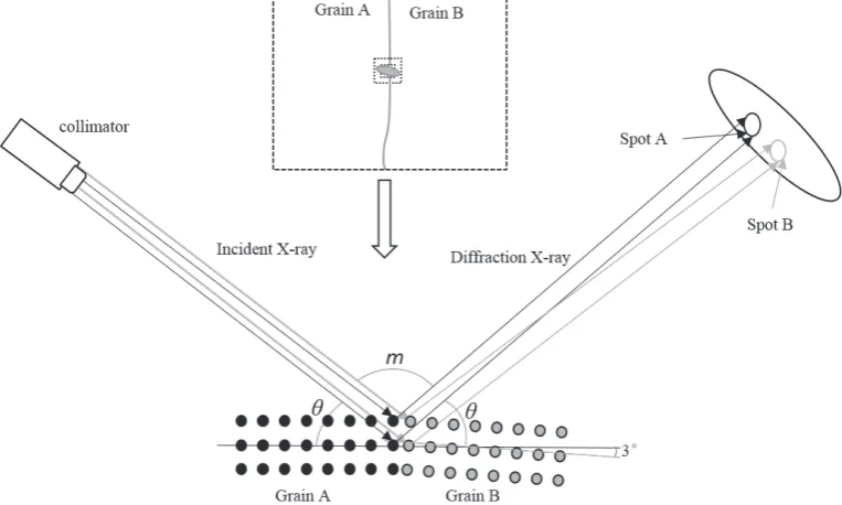 Fig. 4　Diagrammatic sketch of different grain diffraction under X-ray.
