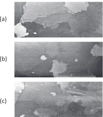 Fig. 11　Metallographic of oriented silicon steel (50 ×  20 mm) (The lines are grain boundaries from Fig