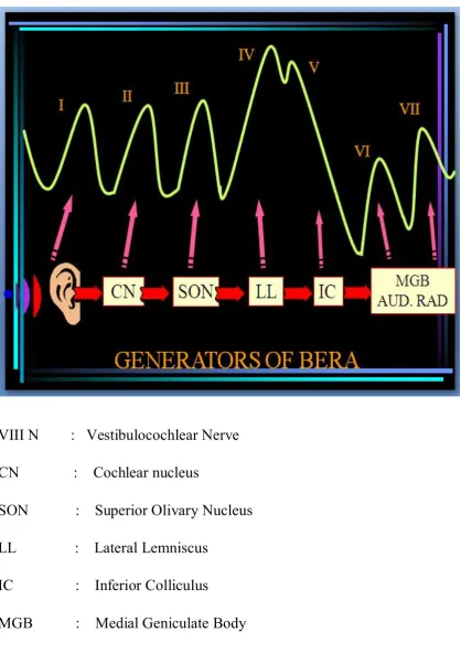 FIGURE 8. GENERATORS OF BAEP WAVES 