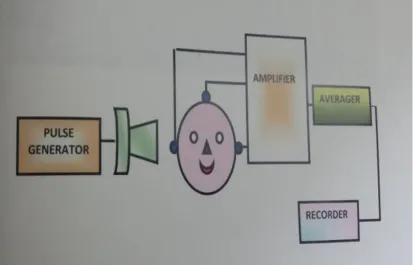 FIGURE : 7 